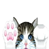 Стикер 41 𓊈Cute𓊉 𝒷𝓎