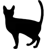 Стикер 2 Cute Cats Adaptive