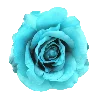 🌹 Эмодзи «𝘾𝙮𝙖𝙣 𝙚𝙢𝙤𝙟𝙞 ☞» для Telegram