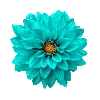 🌼 Эмодзи «𝘾𝙮𝙖𝙣 𝙚𝙢𝙤𝙟𝙞 ☞» для Telegram