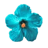 🌺 Эмодзи «𝘾𝙮𝙖𝙣 𝙚𝙢𝙤𝙟𝙞 ☞» для Telegram