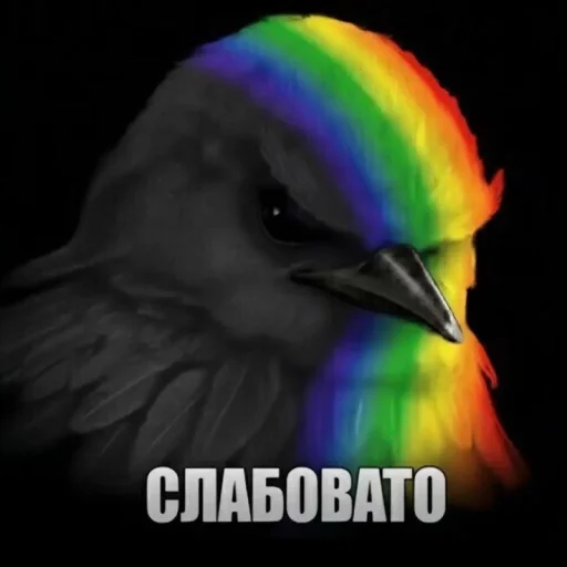 🤩 Стикер «ТгкXBOCTNKN_dogs» для Telegram