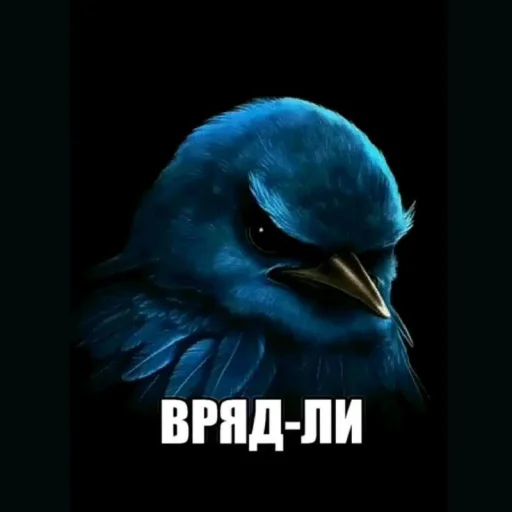 🤩 Стикер «ТгкXBOCTNKN_dogs» для Telegram