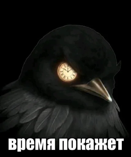 🤩 Стикер «ТгкXBOCTNKN_dogs» для Telegram