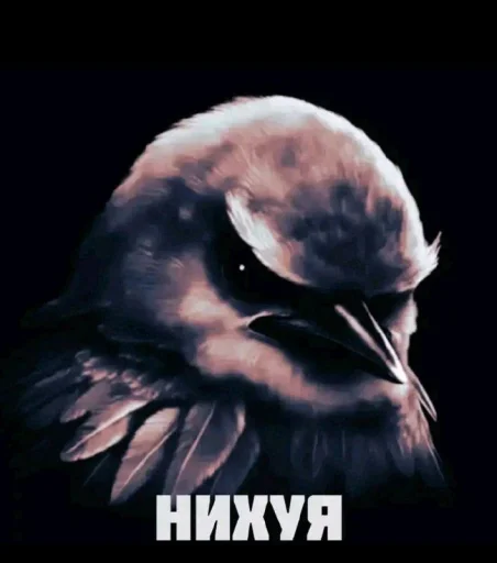 🤩 Стикер «ТгкXBOCTNKN_dogs» для Telegram