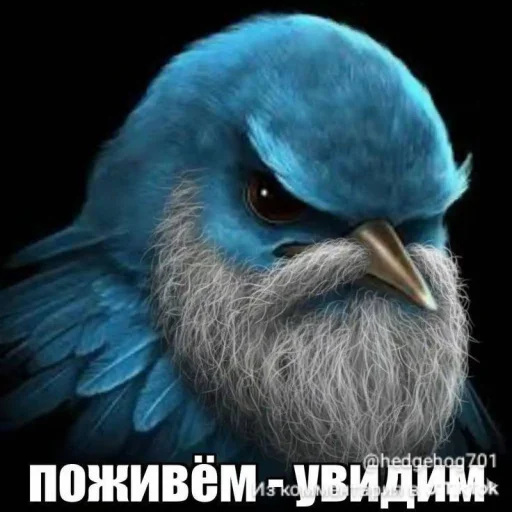 🤩 Стикер «ТгкXBOCTNKN_dogs» для Telegram