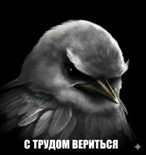 🤩 Стикер «ТгкXBOCTNKN_dogs» для Telegram