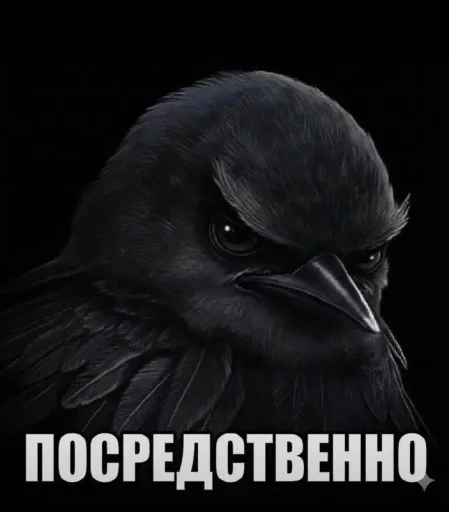 🤩 Стикер «ТгкXBOCTNKN_dogs» для Telegram