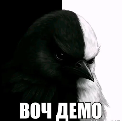 🤩 Стикер «ТгкXBOCTNKN_dogs» для Telegram