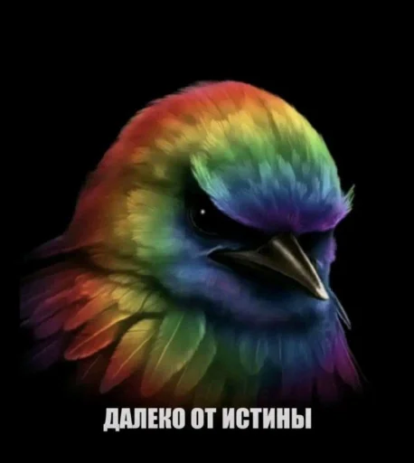 🤩 Стикер «ТгкXBOCTNKN_dogs» для Telegram