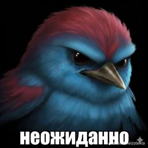🤩 Стикер «ТгкXBOCTNKN_dogs» для Telegram