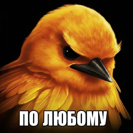 🤩 Стикер «ТгкXBOCTNKN_dogs» для Telegram