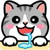 Стикер 20 ❤️ DOUHUA Cat