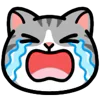 Стикер 5 ❤️ DOUHUA Cat