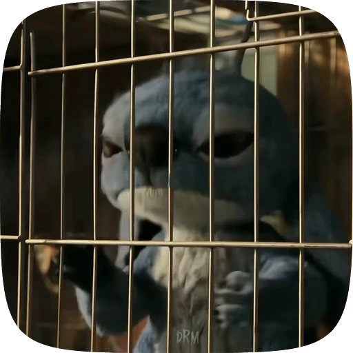 🤷 Стикер «ᴰᴿᴹ» для Telegram