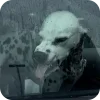 Стикер 26 Dalmatian
