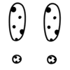Стикер 56 Dalmation