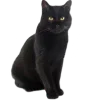 Стикер 18 Dark Mood