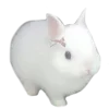 Стикер 51 Украшения ૮ა