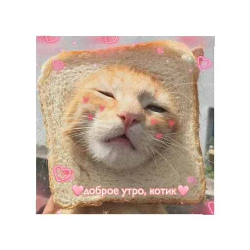 😄 Стикер «День/ ночь» для Telegram