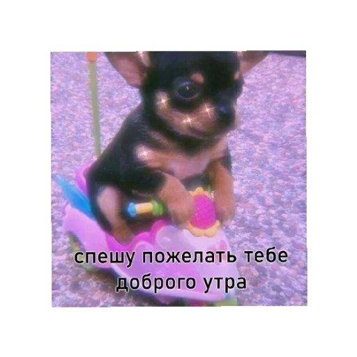 🤗 Стикер «День/ ночь» для Telegram