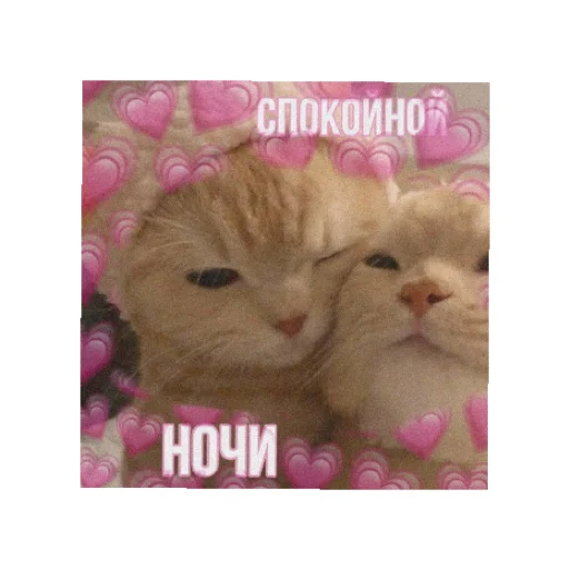 😴 Стикер «День/ ночь» для Telegram