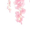 Стикер 12 Ɗʝσηα