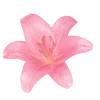 Стикер 33 Ɗʝσηα