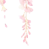 Стикер 13 Ɗʝσηα