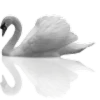 Стикер 24 Dividers