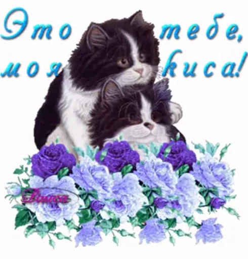 🪻 Стикер «тгк» для Telegram