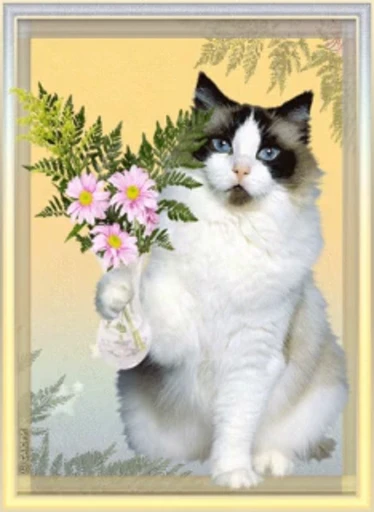 💐 Стикер «тгк» для Telegram