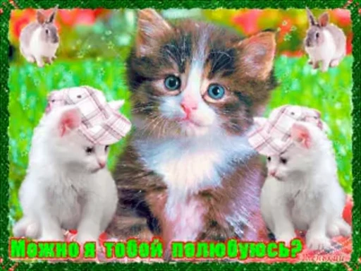 😻 Стикер «тгк» для Telegram