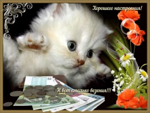 🐾 Стикер «тгк» для Telegram