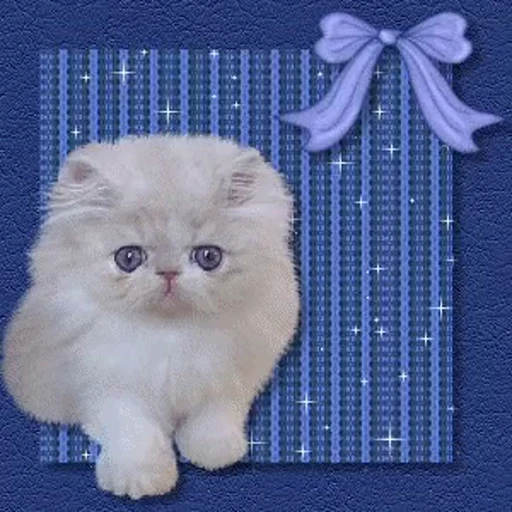 💙 Стикер «тгк» для Telegram