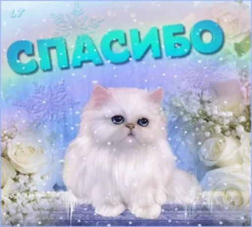 🙏 Стикер «тгк» для Telegram