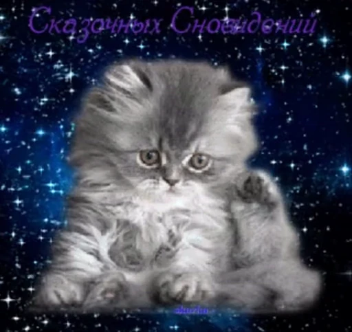 💤 Стикер «тгк» для Telegram