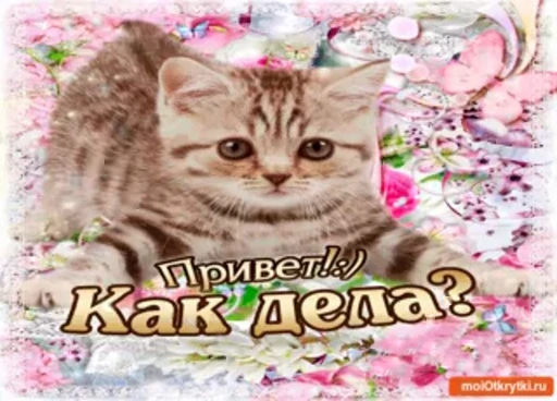 👋 Стикер «тгк» для Telegram