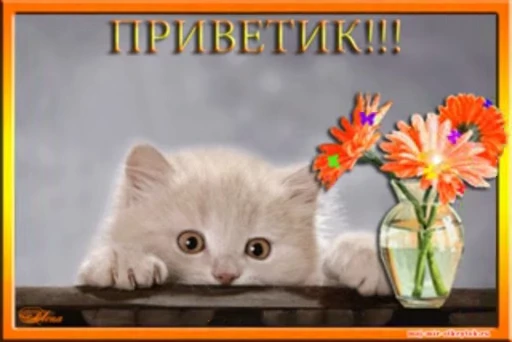 👋 Стикер «тгк» для Telegram