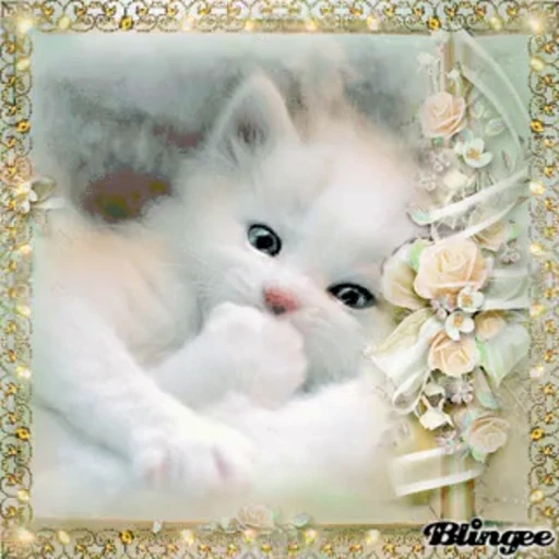 🤭 Стикер «тгк» для Telegram