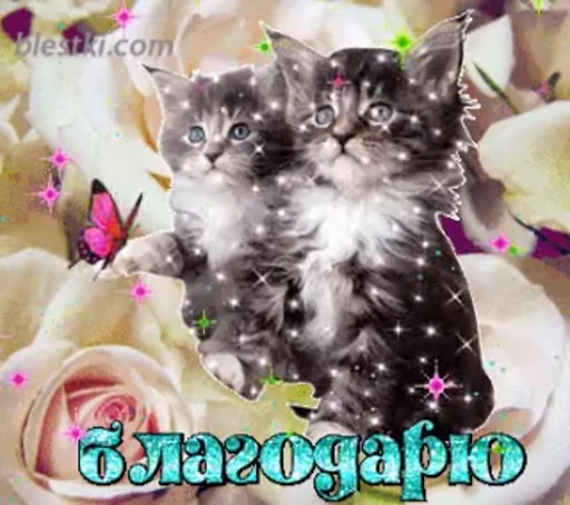 🙏 Стикер «тгк» для Telegram
