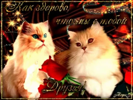 🤩 Стикер «тгк» для Telegram