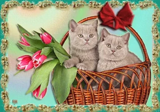 🌷 Стикер «тгк» для Telegram
