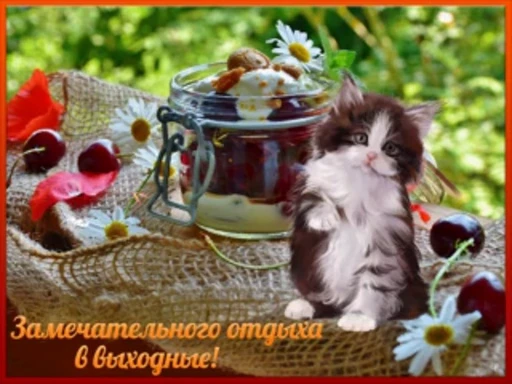 🍄 Стикер «тгк» для Telegram