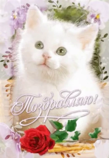 🎉 Стикер «тгк» для Telegram