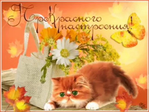 🍁 Стикер «тгк» для Telegram