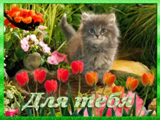 💐 Стикер «тгк» для Telegram