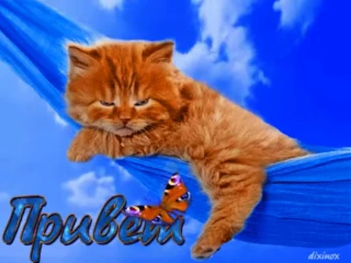 👋 Стикер «тгк» для Telegram
