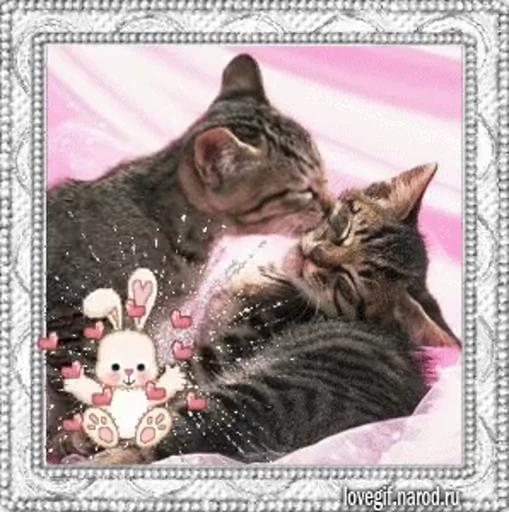 😽 Стикер «тгк» для Telegram