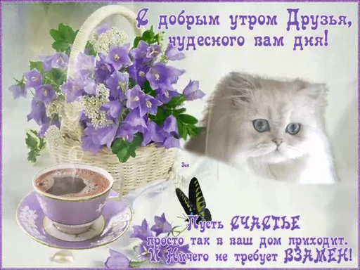 ☀️ Стикер «тгк» для Telegram